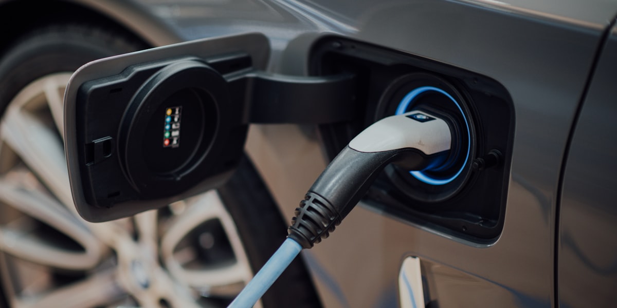 Tesla Fleet Management: Complete Guide for Business Owners in 2025